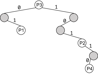 radix insertion 1